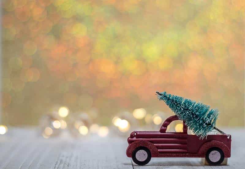 toy truck with tree in front of lights