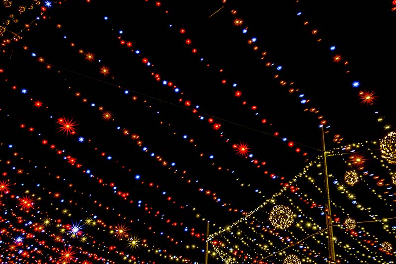 strands of Christmas lights against the night sky