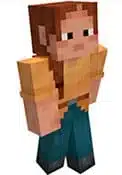 Ari