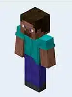steve