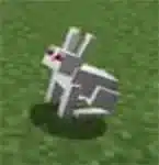 killer bunny
